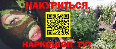 дживик Тверь