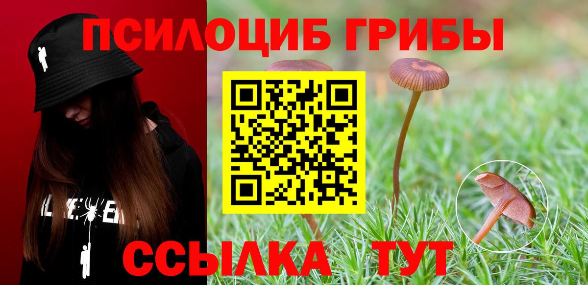 Галлюциногенные грибы Magic Shrooms Петропавловск-Камчатский