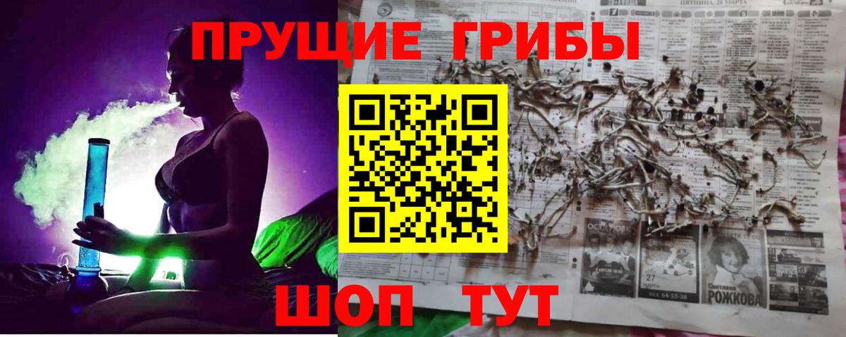 Псилоцибиновые грибы Magic Shrooms  продажа наркотиков  Петропавловск-Камчатский  Галлюциногенные грибы Psilocybine cubensis  Вход с VPN 