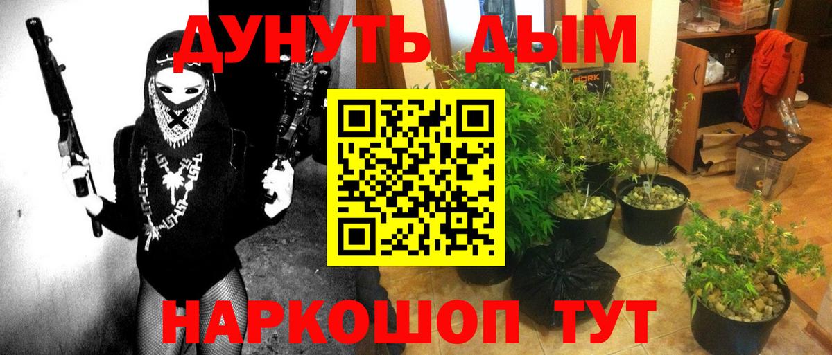 Бошки марихуана конопля Петропавловск-Камчатский